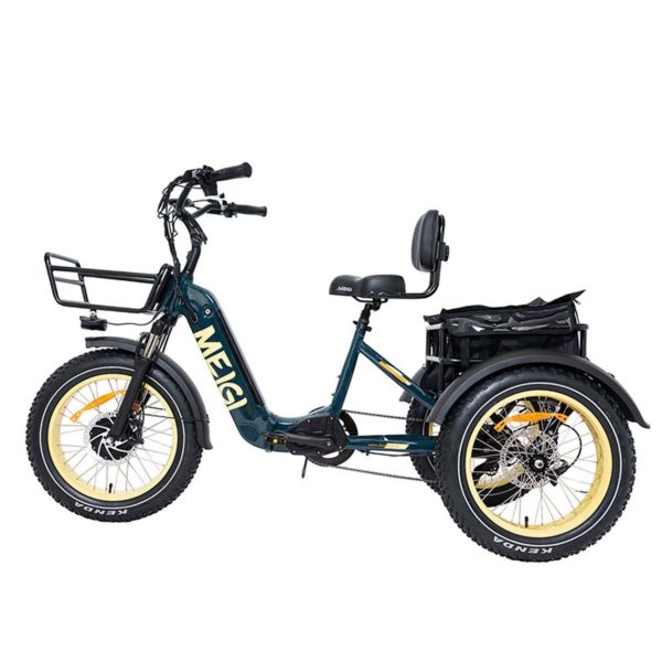 20-Inch 48V 750W Foldable Fat-Tire Electric Trike, 330-Lb. Capacity