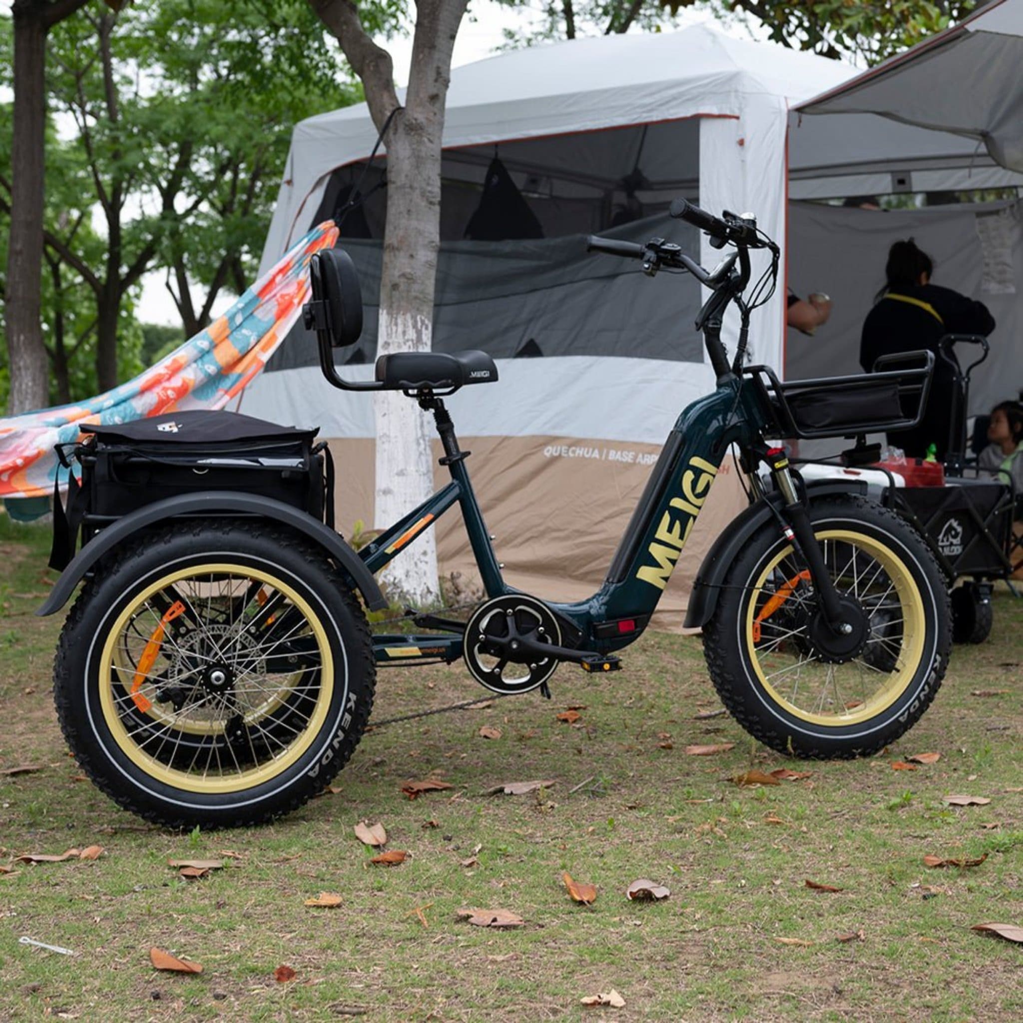 20-Inch 48V 750W Foldable Fat-Tire Electric Trike, 330-Lb. Capacity