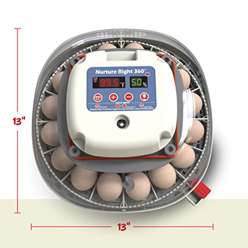 Nurture Right Egg Incubator for Hatching Chicks – Holds 22 Eggs